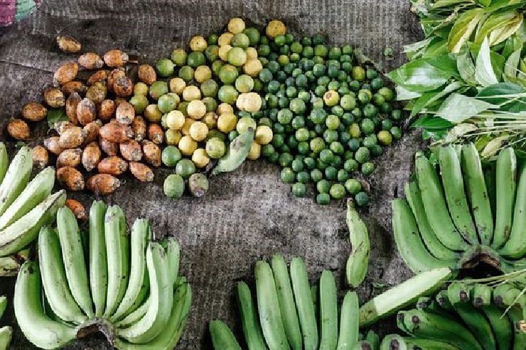 Немецкая диета 7 недель - зеленые продукты для здоровья