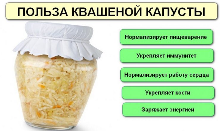 salat-shetka-iz-kvashennoy-kapusti