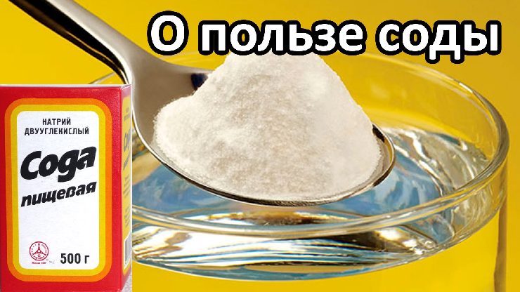 pishevaya-soda-polza