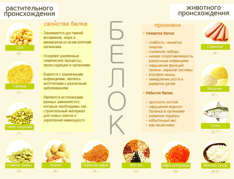 belkovaya-dieta-svoystva